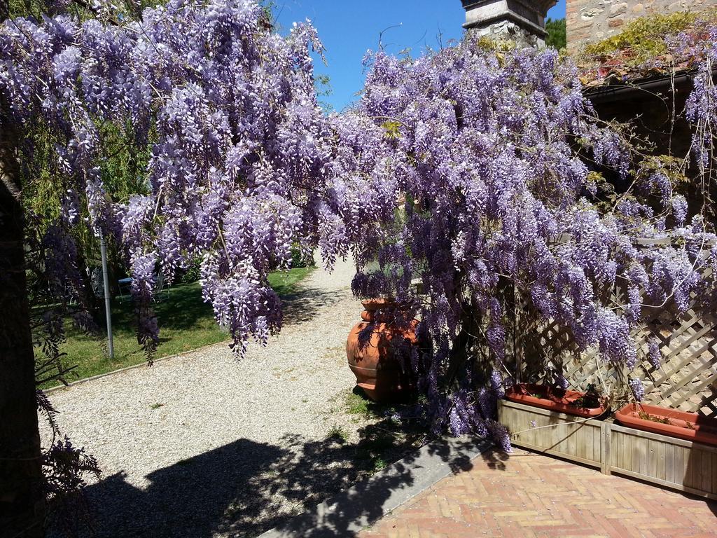 Quercegrossa La Loggia - Villa Gloria -Adults Only מראה חיצוני תמונה